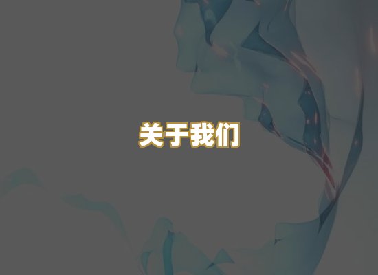 关于我们